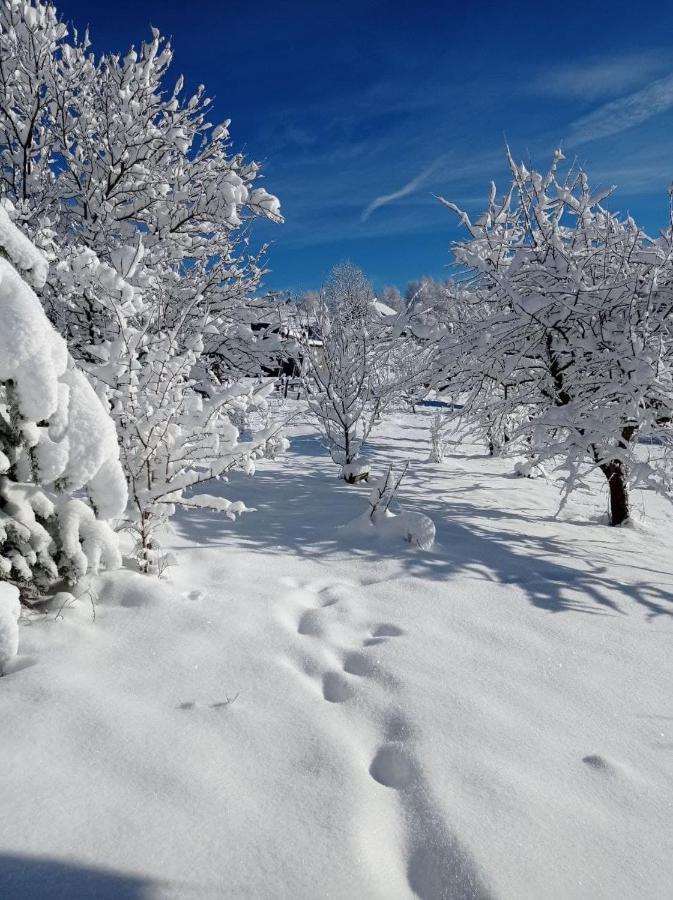 Ecottage Котедж Для Двох У Горах Із Чаном-Джакузі Slavske Bagian luar foto