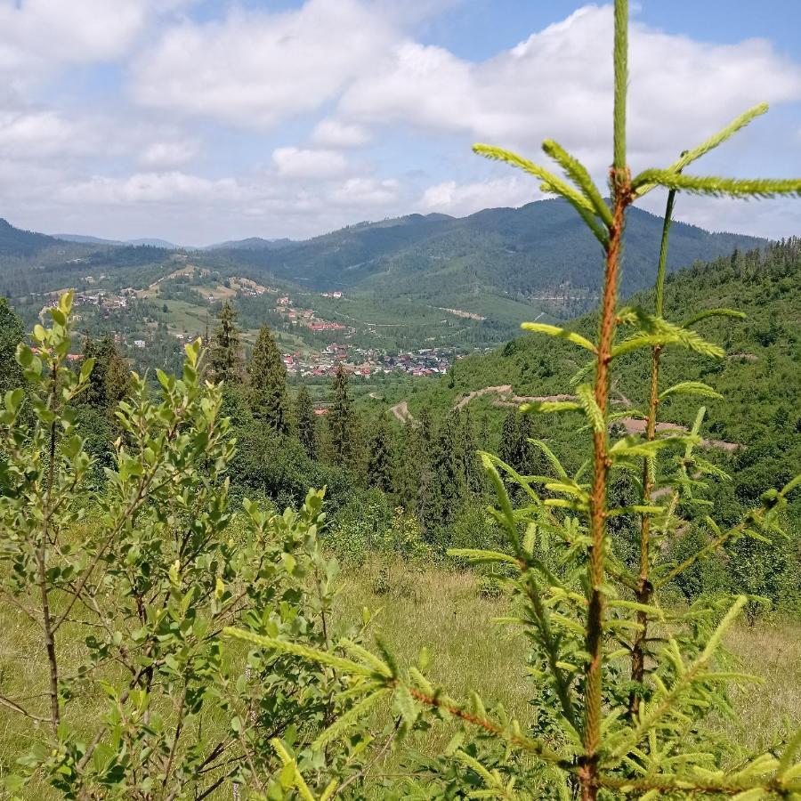 Ecottage Котедж Для Двох У Горах Із Чаном-Джакузі Slavske Bagian luar foto